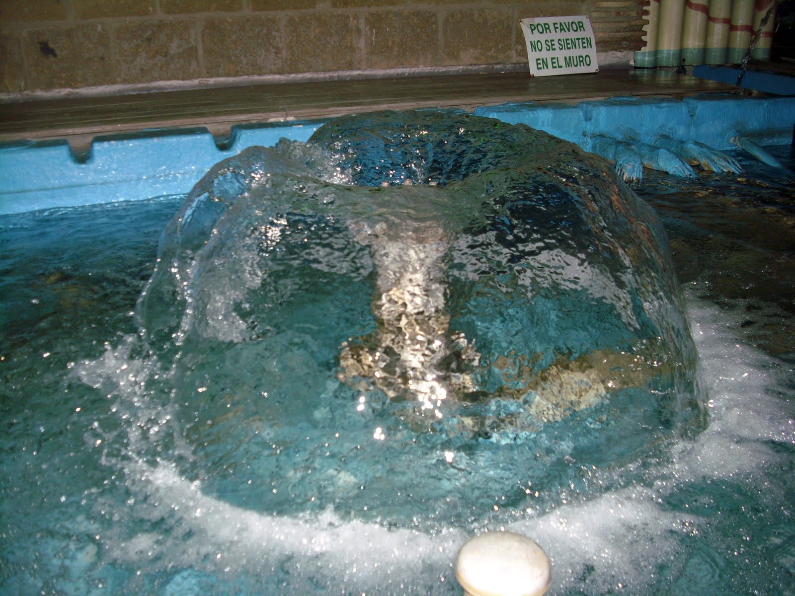 [DSCI0115.JPG]