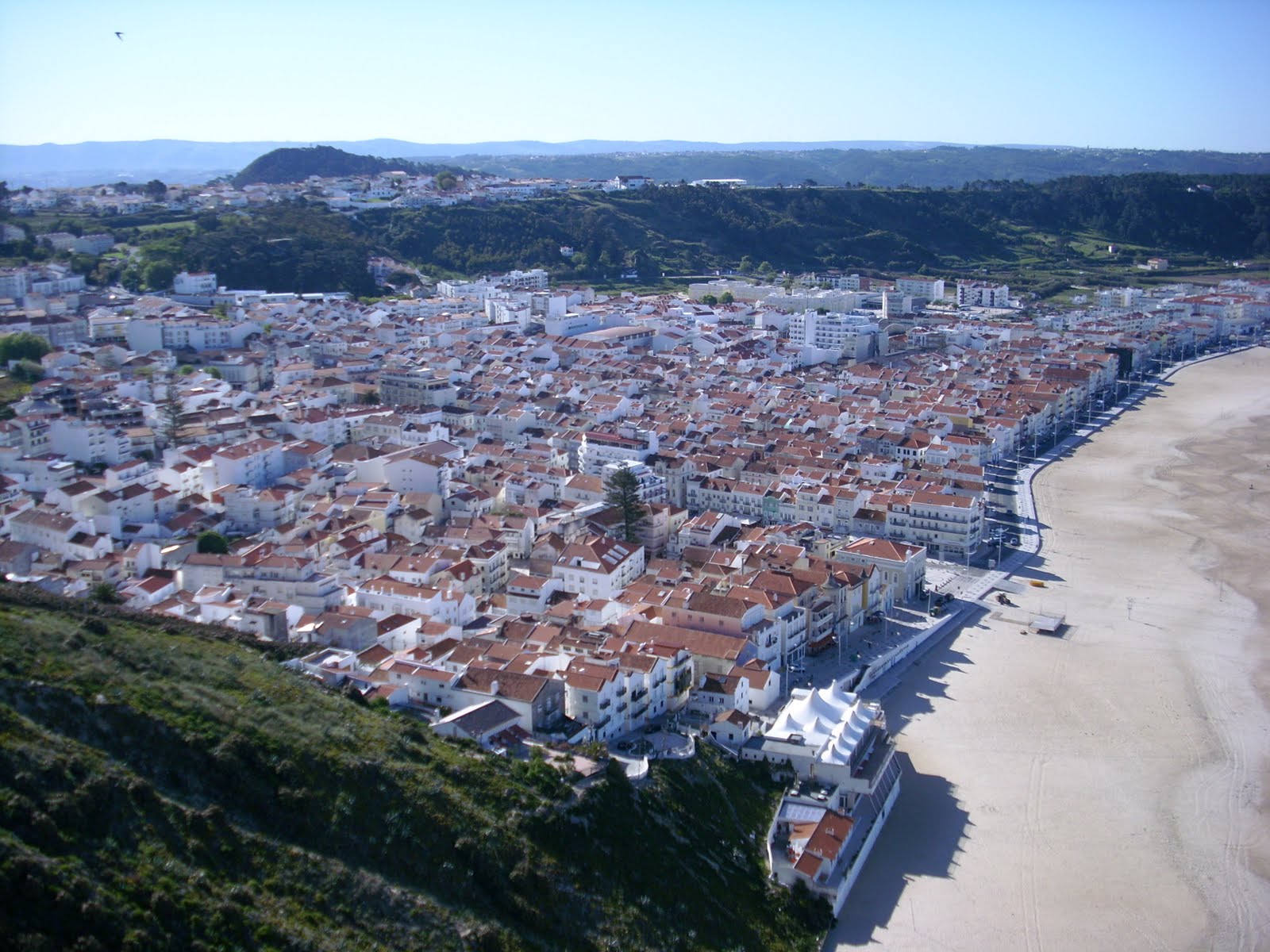 [DSCI0562.JPG]