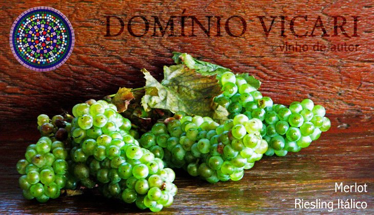 Vinho de autor Domínio Vicari