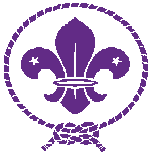 Scouts Creating a Better World