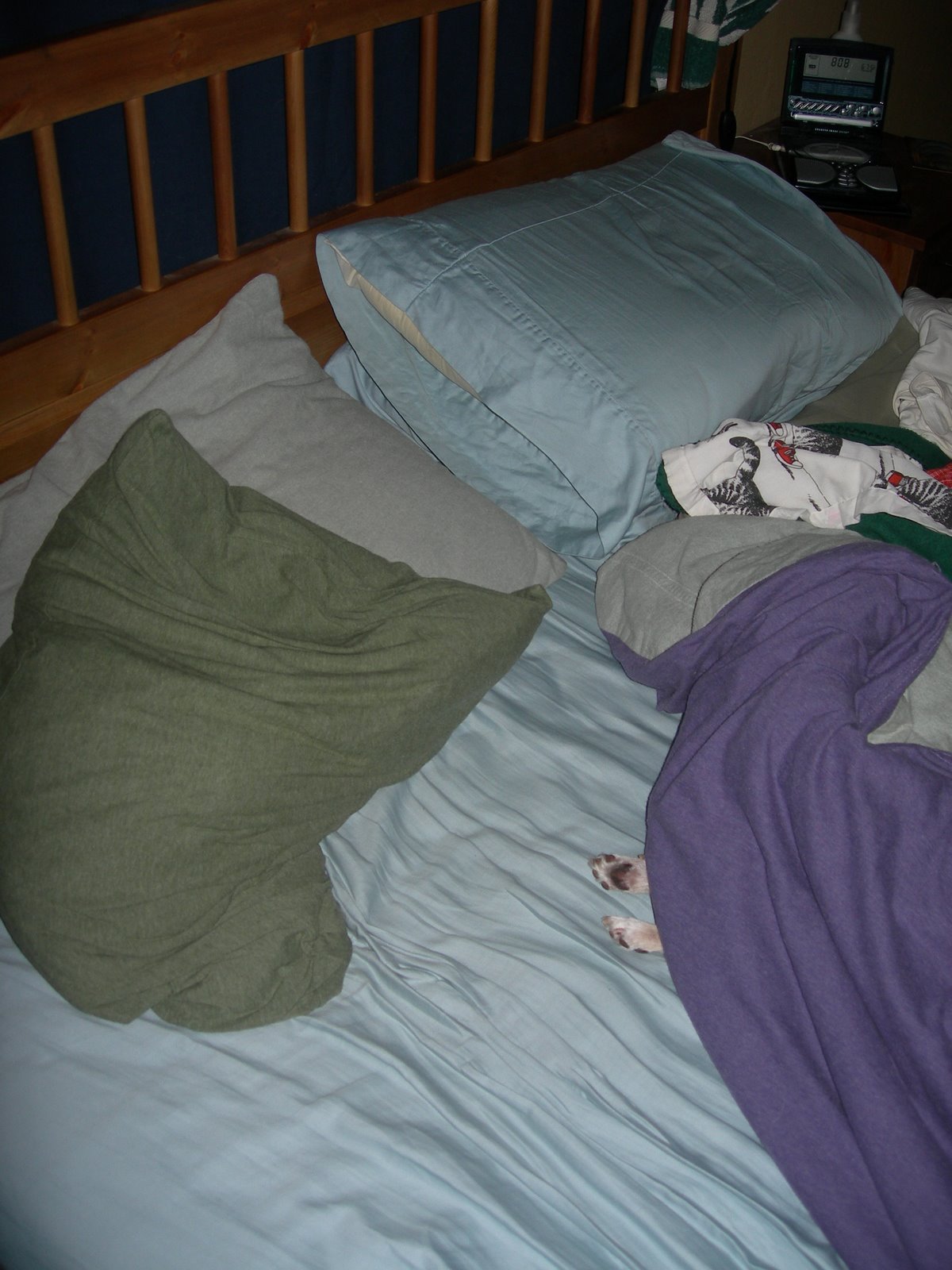 [DSCN2978.JPG]