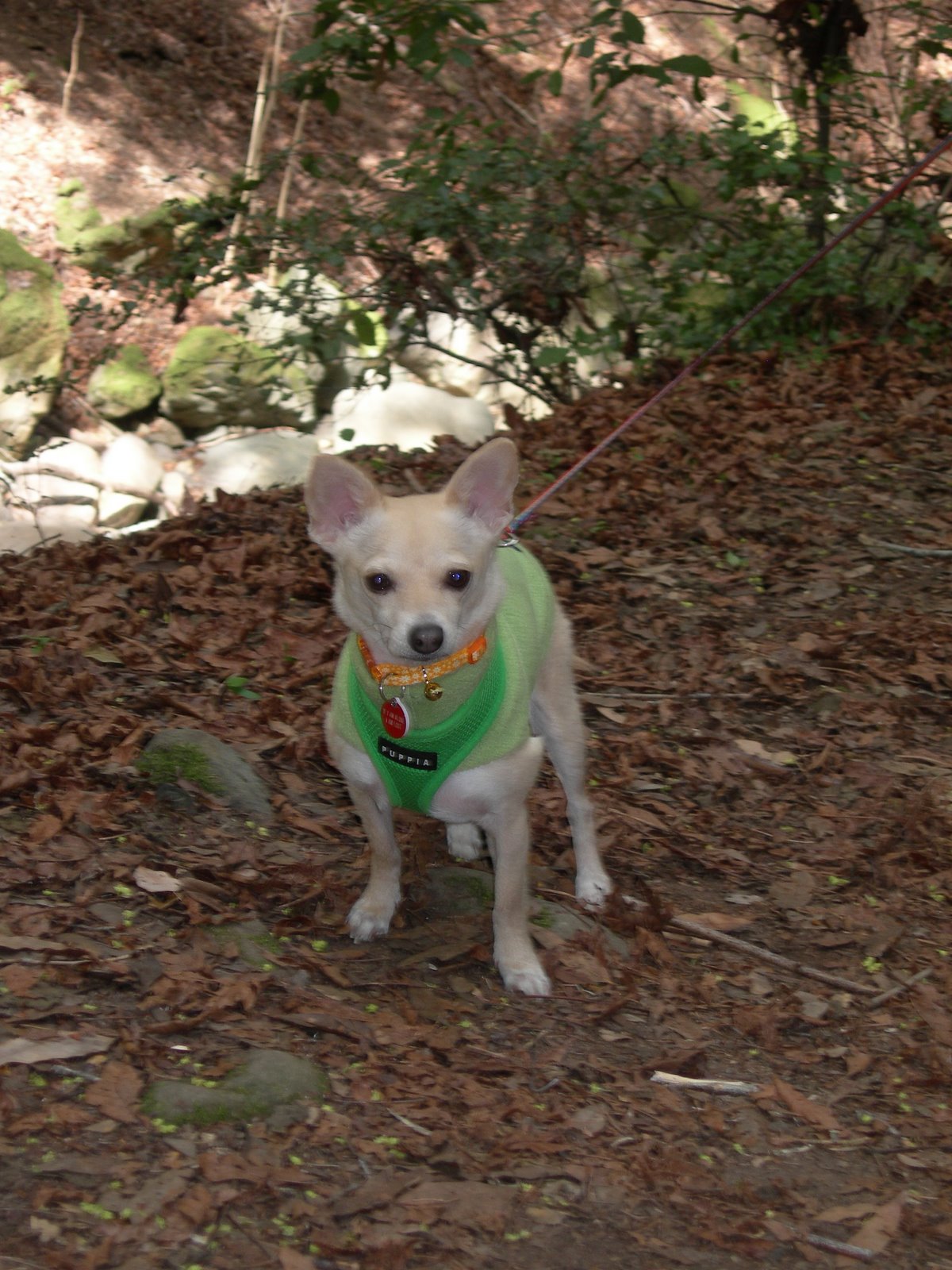 [DSCN3265.JPG]