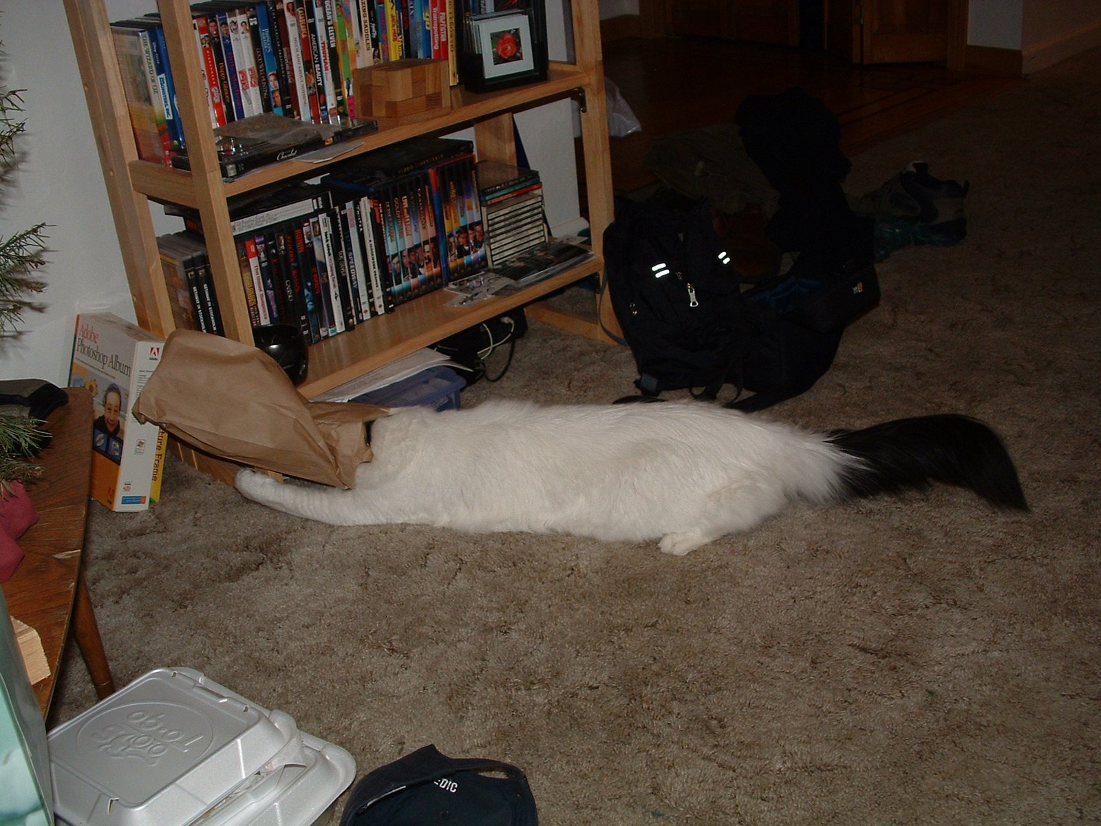 [DSCF0042.JPG]