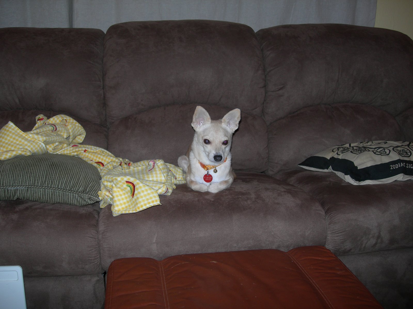 [DSCN4147.JPG]