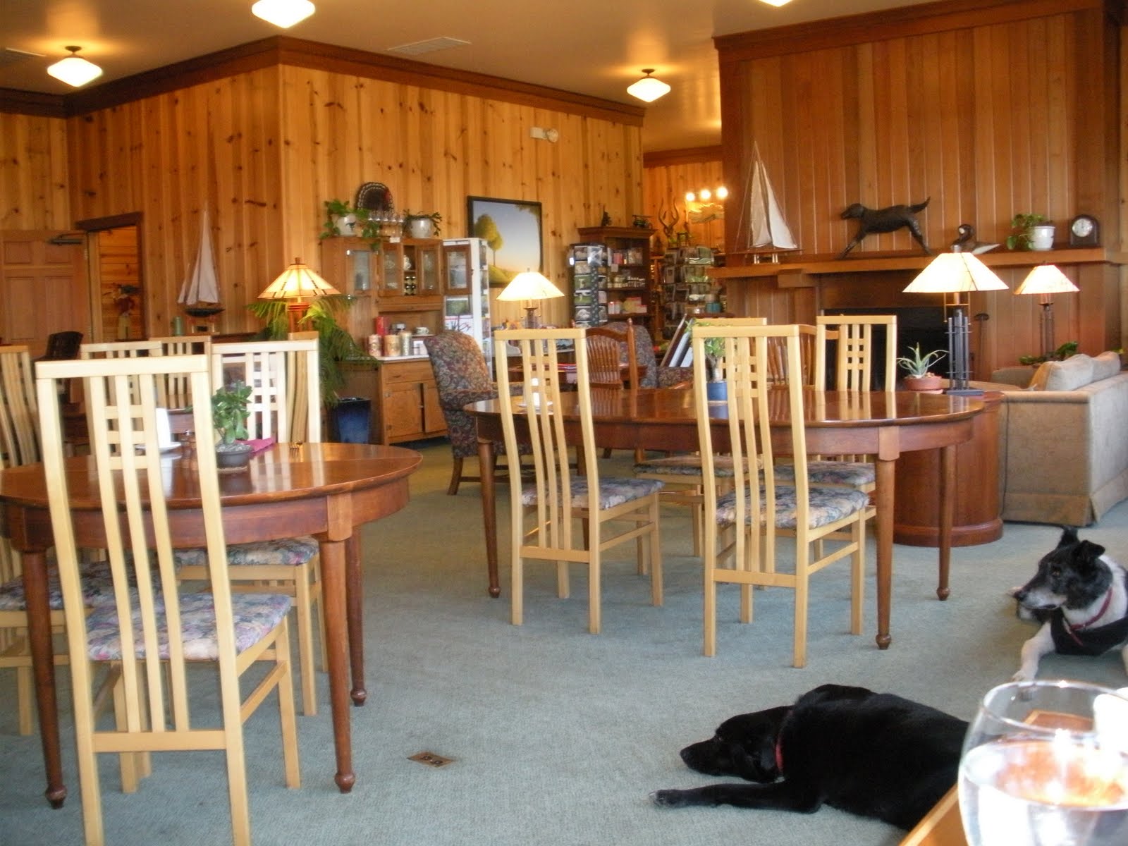[DSCN0726.JPG]