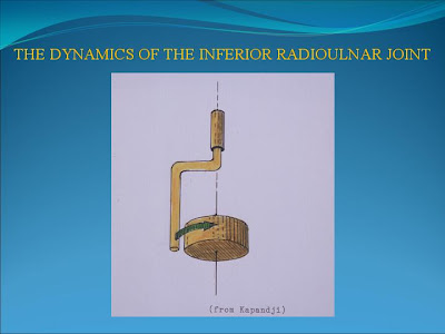 BIOMECHANICS OF THE ELBOW JOINT: BIOMECHANICS OF THE ELBOW JOINT