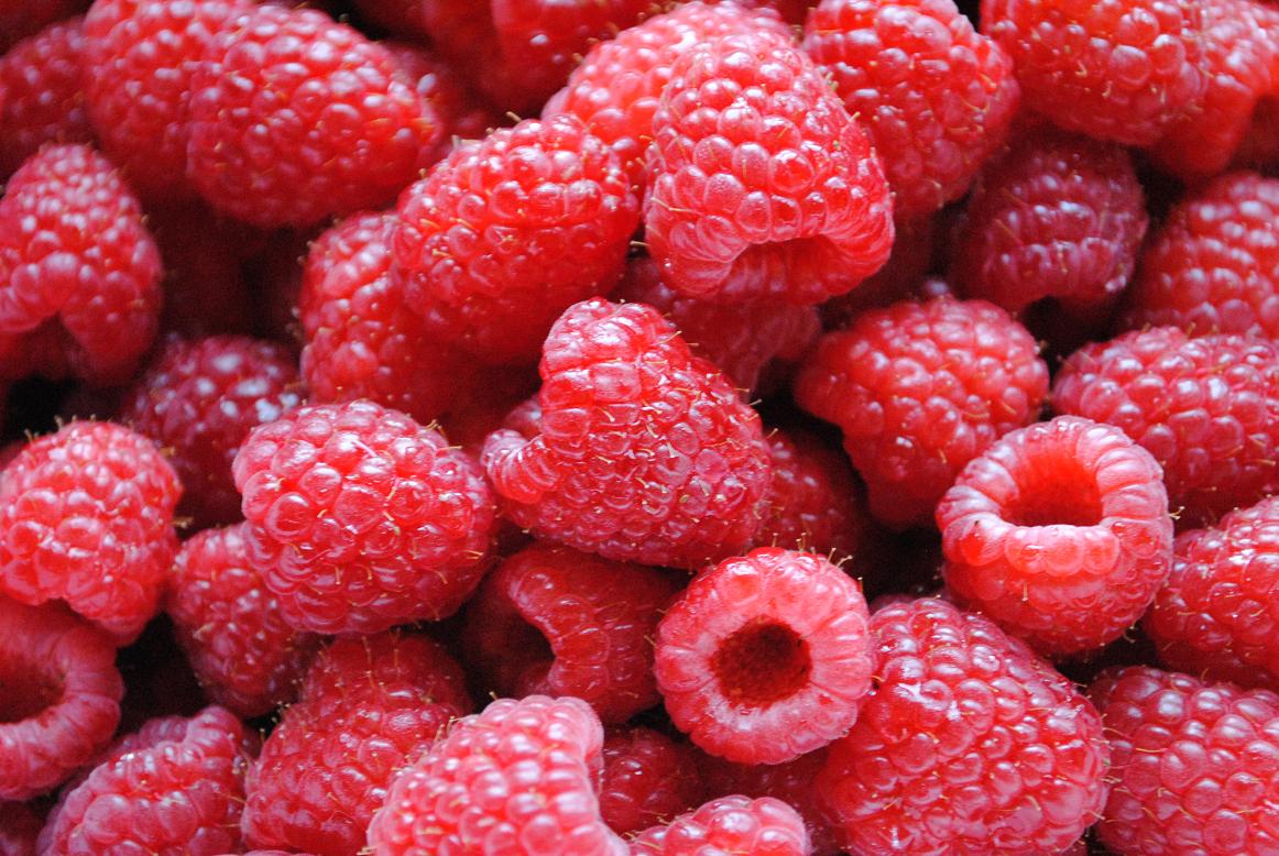 Le Cordon Q: Raspberry Freezer Jam