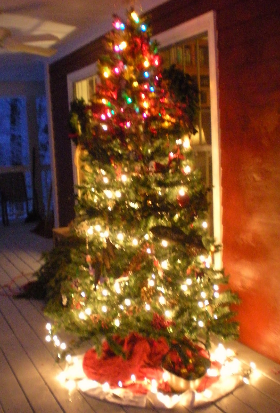 A Cook and Her Books: December 2010