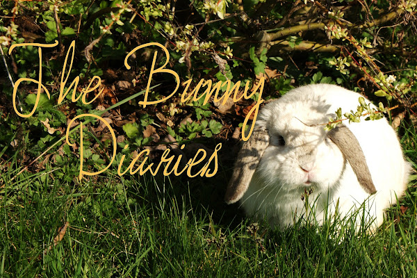 The Bunny Diaries