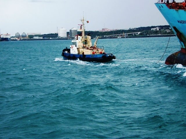 [DSCF9417.JPG]