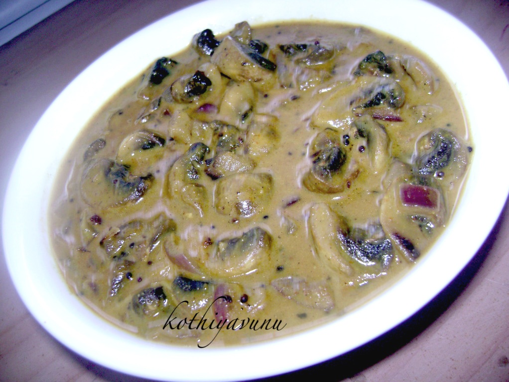Easy kerala mushroom recipes Easy kerala mushroom recipes