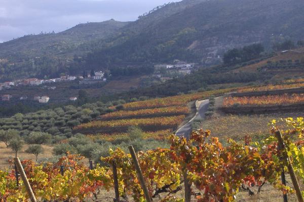 [O+NOSSO+TORRÃ O+NATAL.jpg]