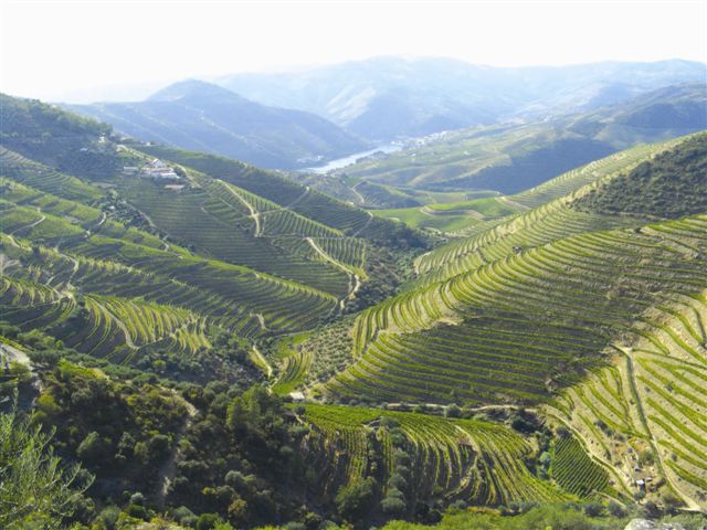 [OLHAR+DE+XISTO.jpg]