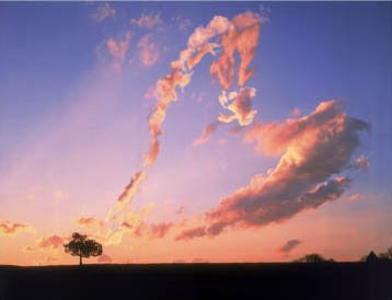 http://4.bp.blogspot.com/_vY5RzwlvdwM/SZHFwILs4FI/AAAAAAAAA8A/Yo4Wd2KpdXg/s400/345688~Tree-Against-Sky-with-Heart-Shaped-Cloud-Posters.jpg