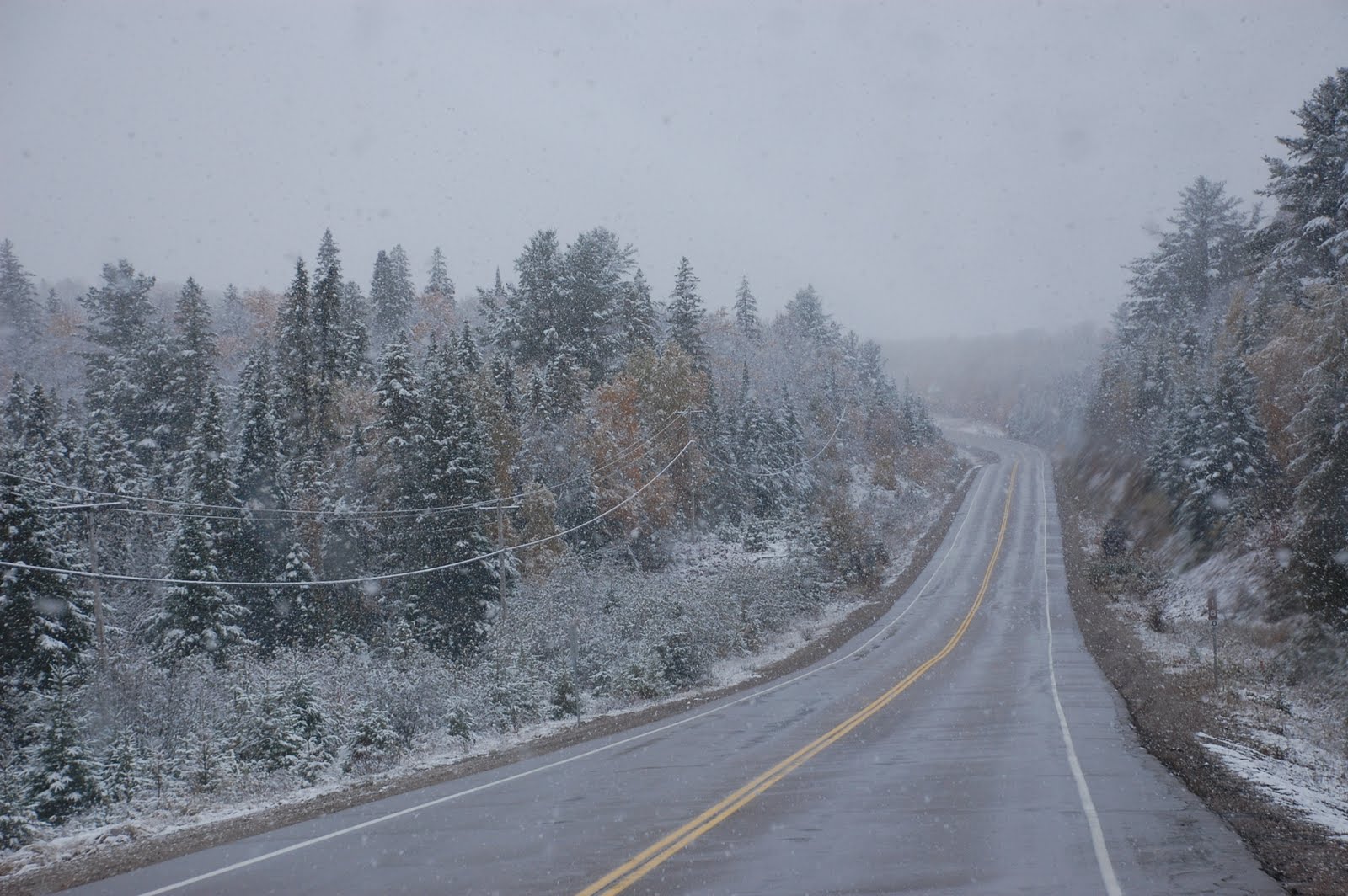 [DSC_5796.JPG]
