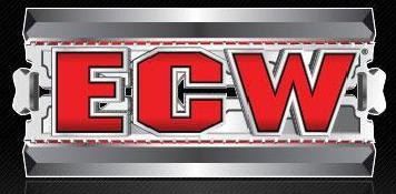 Evan Bourne ,ECW,Edge Udapte ECW+Logo2