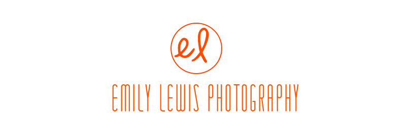 emily lewis photography