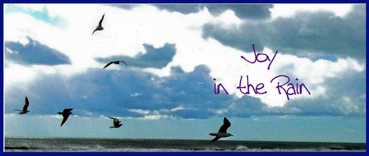 Joy In The Rain: Fun and Funny funny quotes happy bunny. Joy In The Rain: Fun and Funny