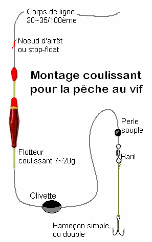 La pêche sous-marine avec le fusil