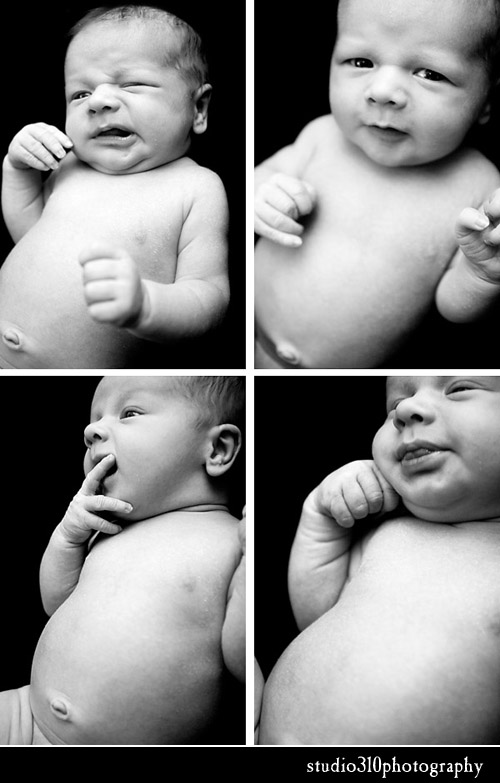 infant portraits by amanda dengler in raleigh north carolina