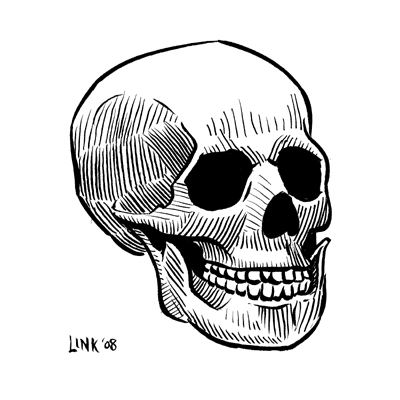 Ink Skull Studies Because you can't practice enough from life or in this