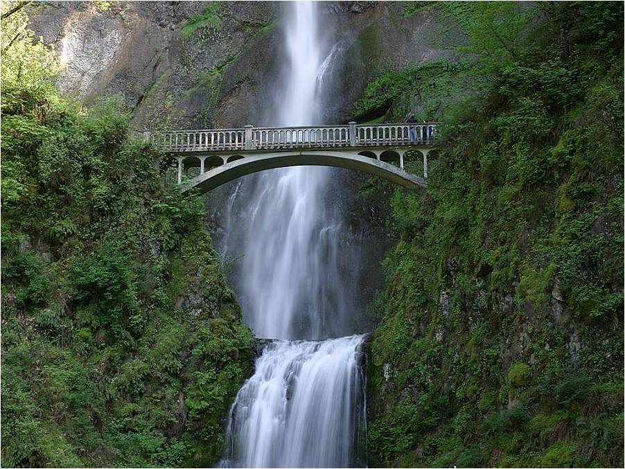 Esta breve existência terrena é uma ponte, não construas nela a