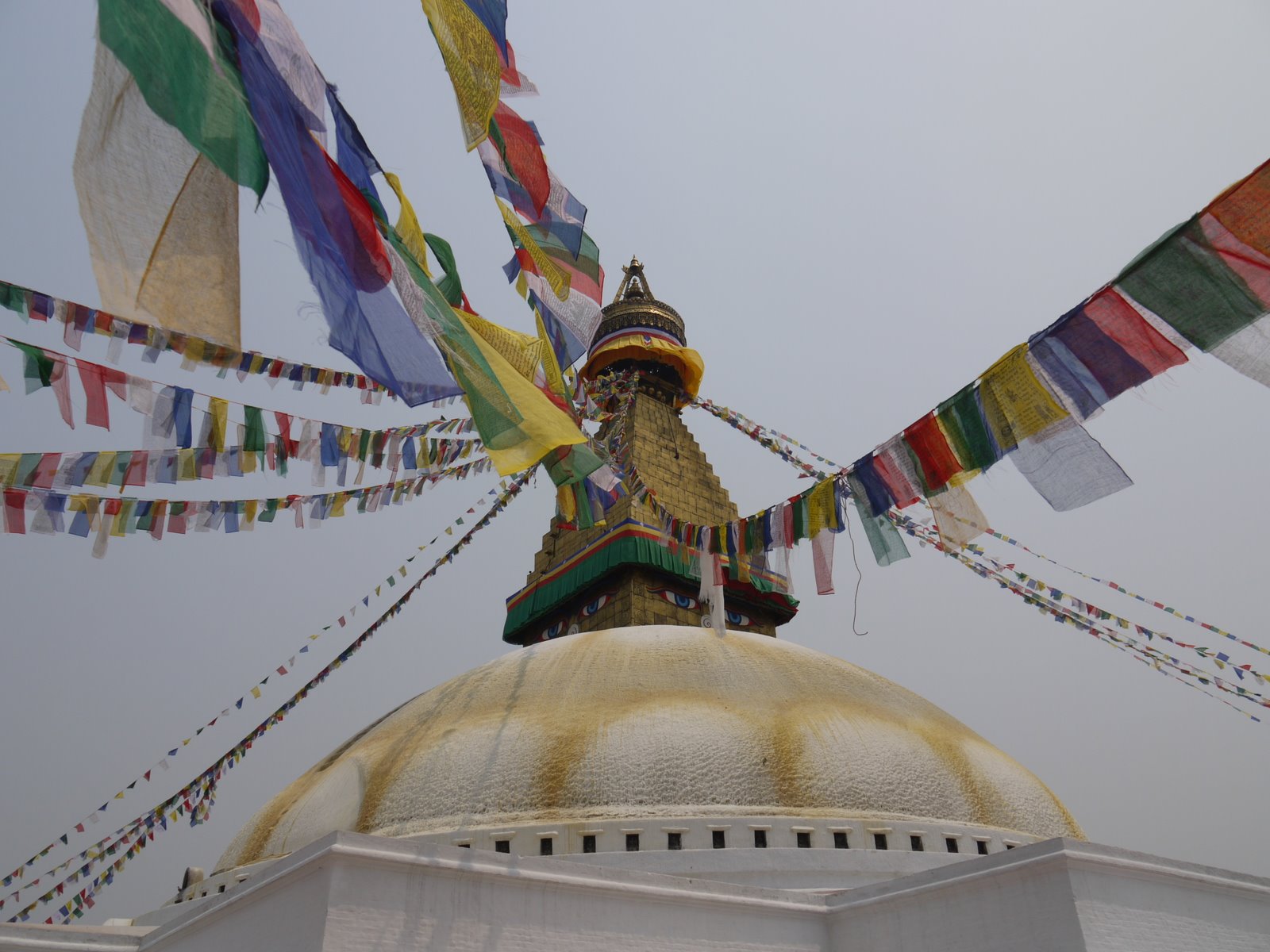 [P1050716.JPG]