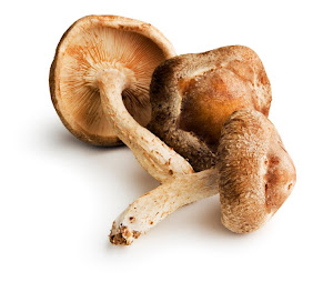 Mushroom