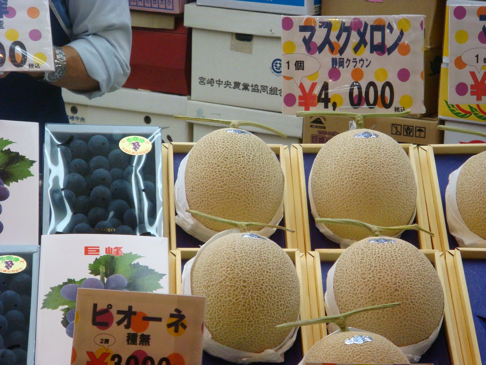 [DSC05845.JPG]