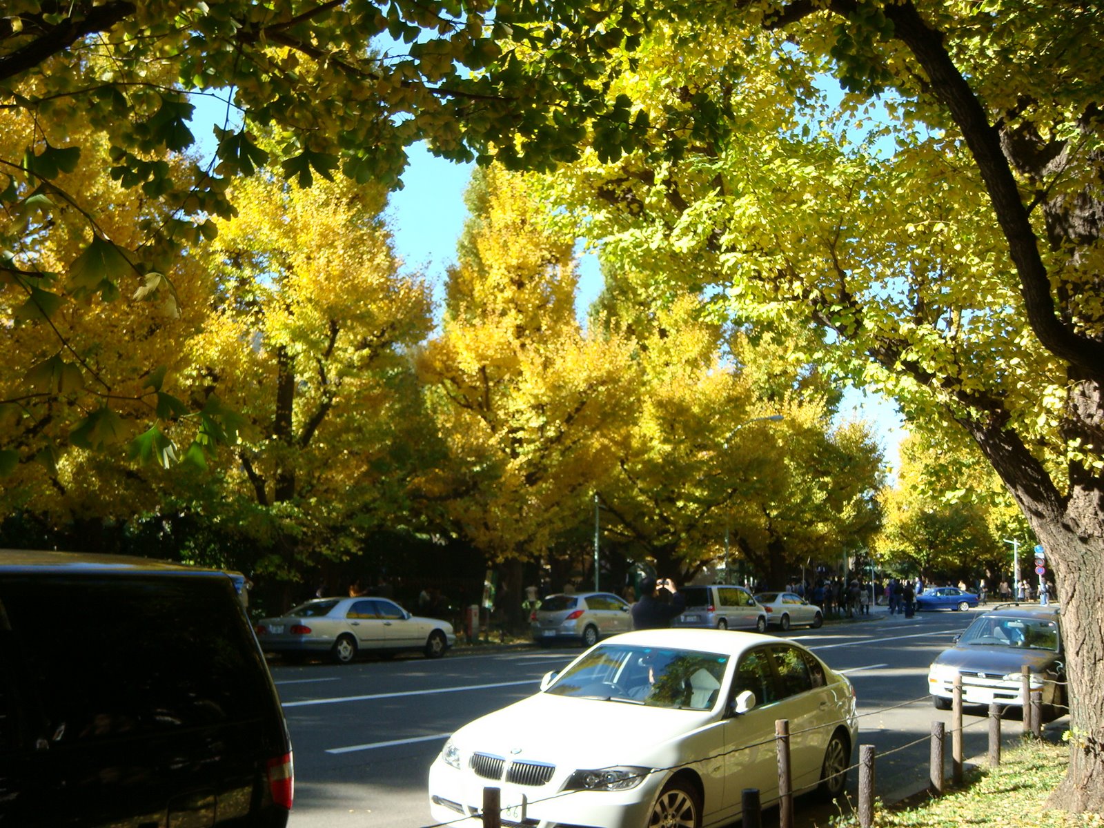 [DSC06924.JPG]