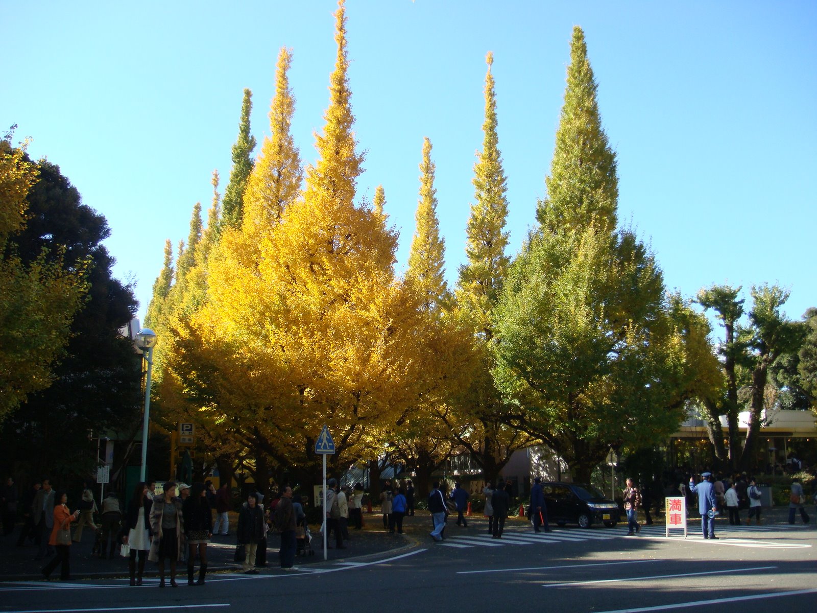 [DSC06929.JPG]