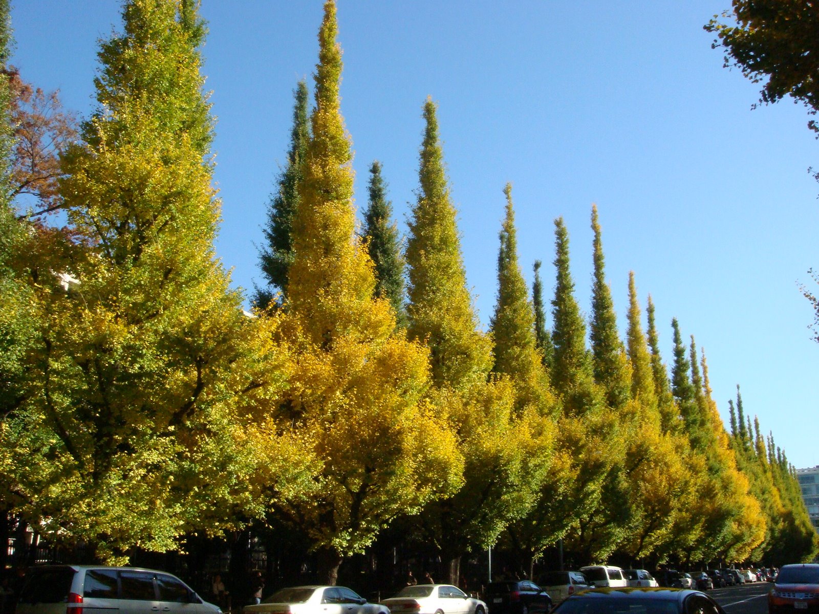 [DSC07272.JPG]