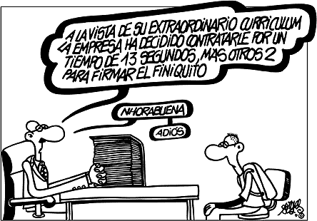 curriculum