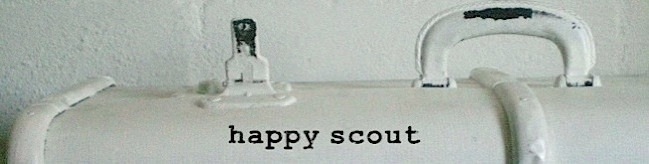 happy scout