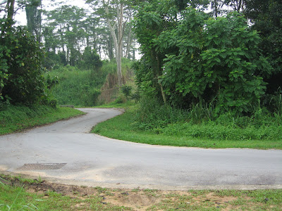 Lim Chu Kang