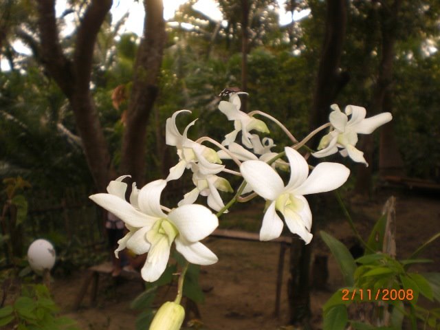 [CIMG0580.JPG]
