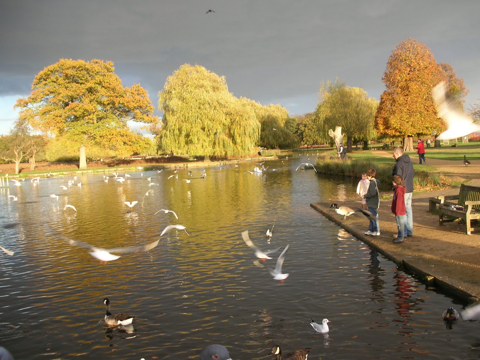 Bushy Park, Hampton, England Glorious Autumn! Ozlem's Turkish TableOzlem's Turkish Table