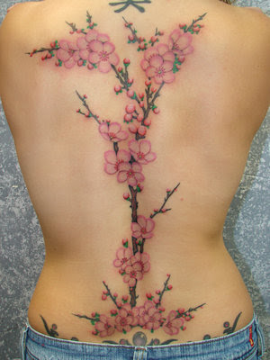 cherry tree blossom drawing. cherry tree tattoo. chinese