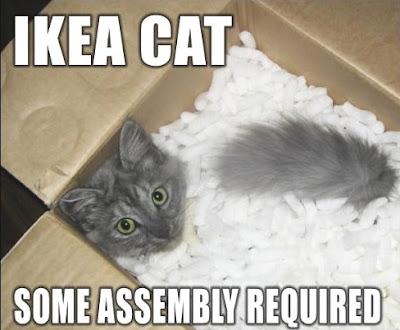 So I was looking at the lastest funny cat pictures and captions on So I was looking at the lastest funny cat pictures and captions on