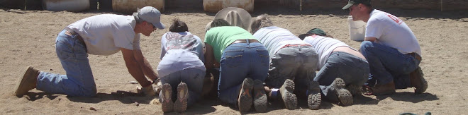 The team working on a pony