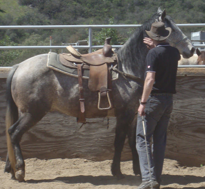 Steve from England working with Tejon