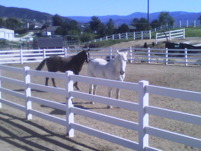 Dusty in his new home with girlfriend Katy