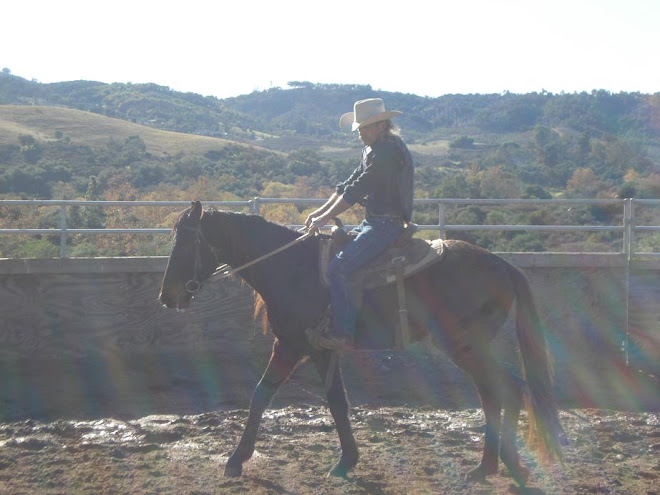 Ryder, Thoroughbred Gelding