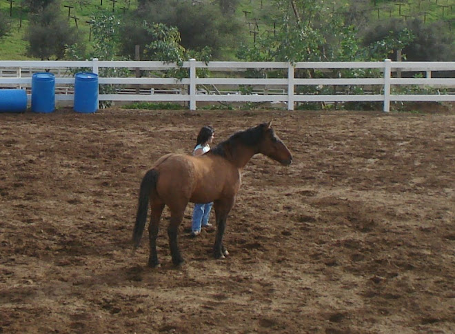 Andi working with Laredo