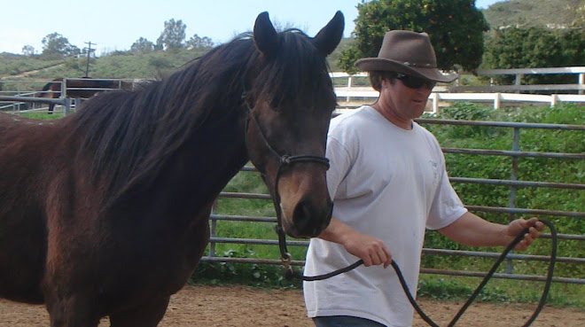 Volunteer Brian with Ryder