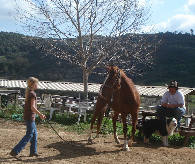 Zoey working with Montana, who says "I like her!"