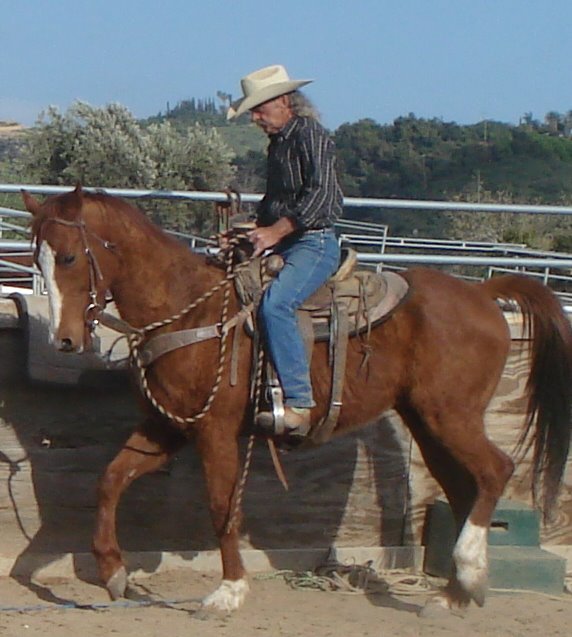 Rowdy under saddle