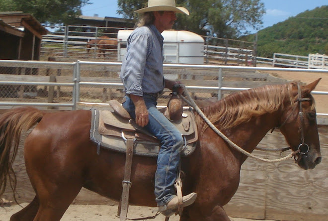 Amber, Up for Adoption & Looking for a Family