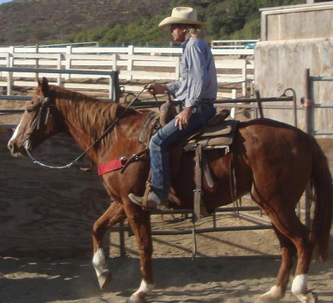 Can you guess who this FalconRidge rescued horse is?