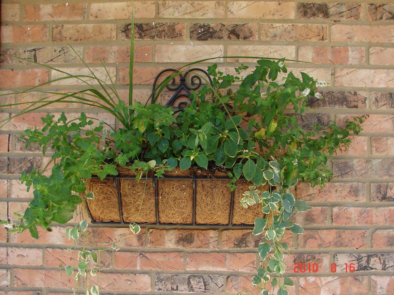 Lovin' Longaberger Wrought Iron Flower Box